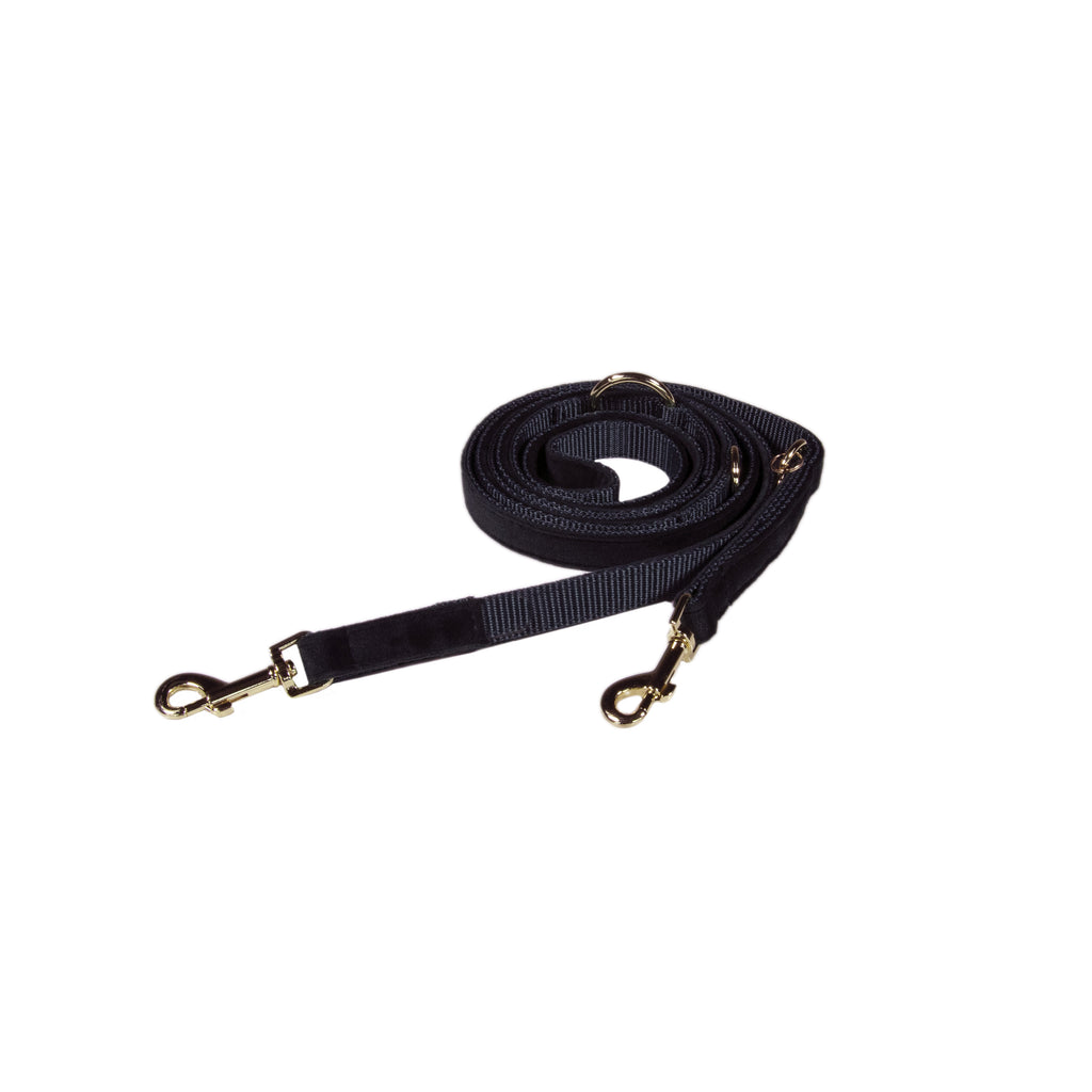 Kentucky Laisse pour chien S Velours - 200 cm