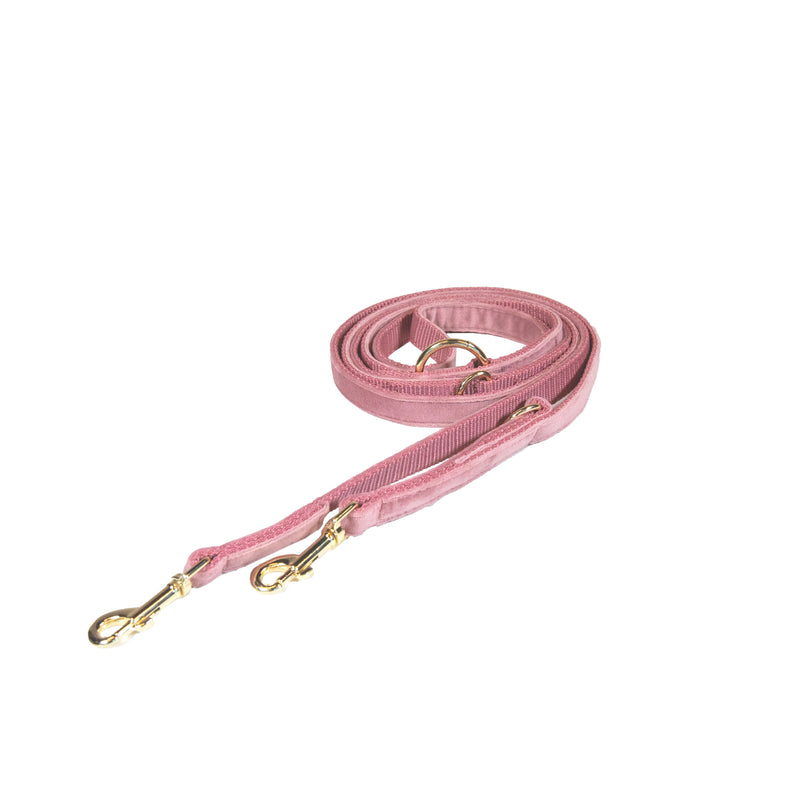 Kentucky Dog Leash S Velvet - 200 cm