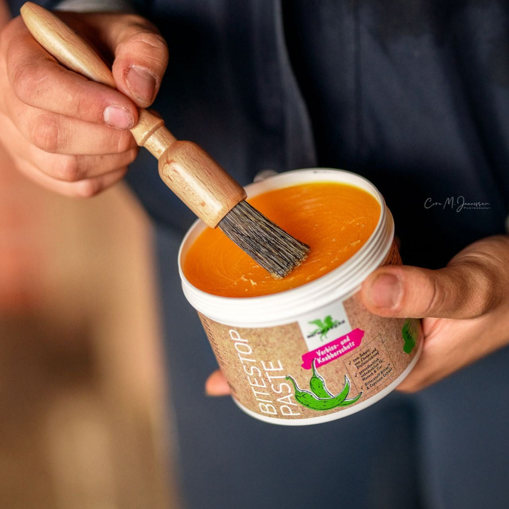 Bense & Eicke Bitestop Pasta