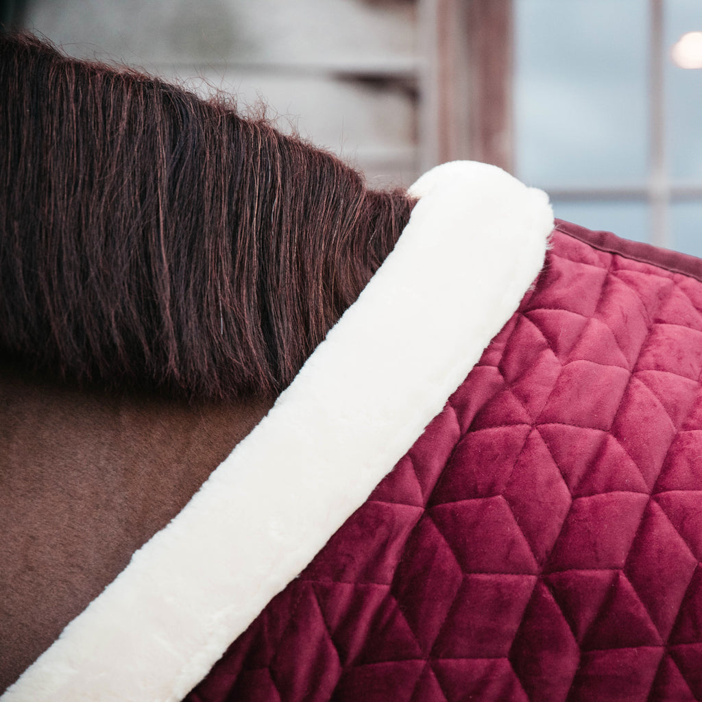 Kentucky Showdecke Samt - 160G