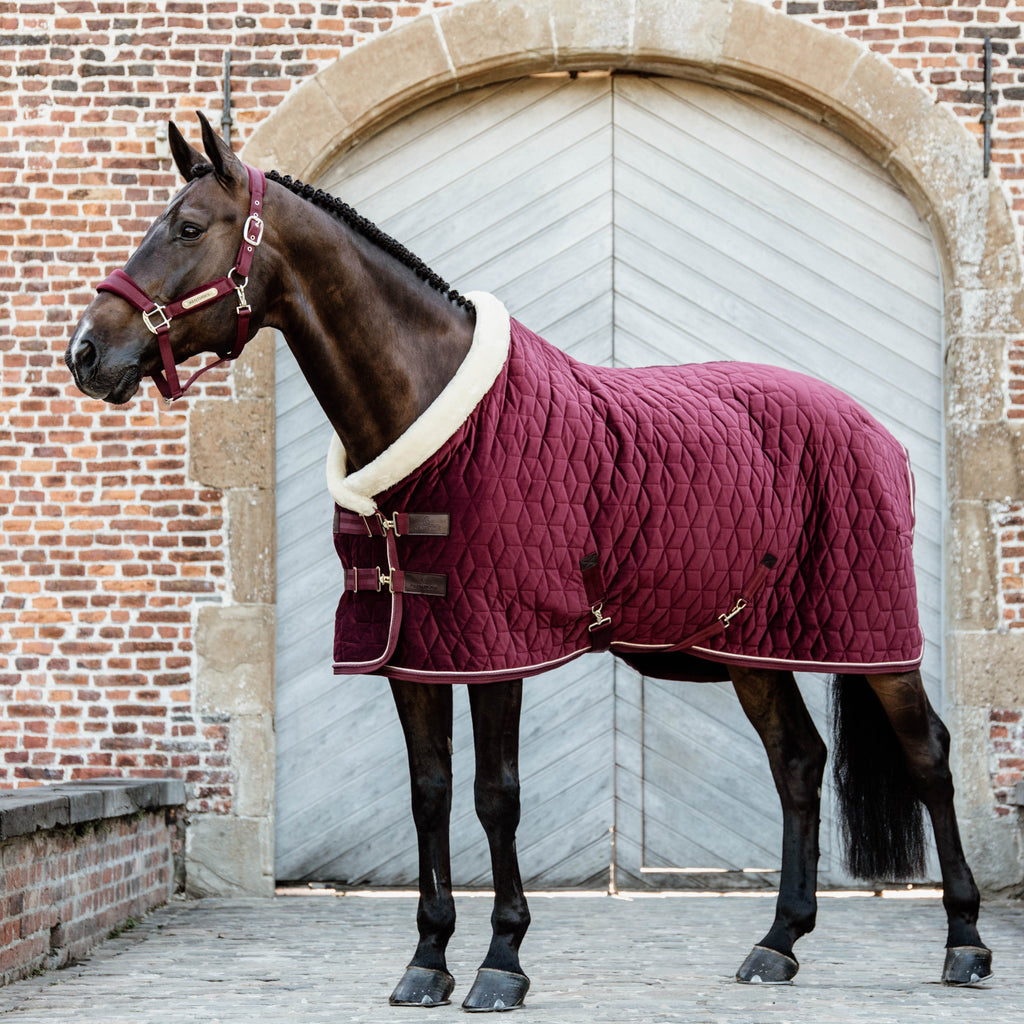 Kentucky Showdecke Samt - 160G