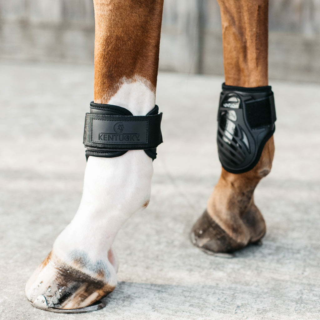 Kentucky Kogelbeschermers - Jonge Paarden