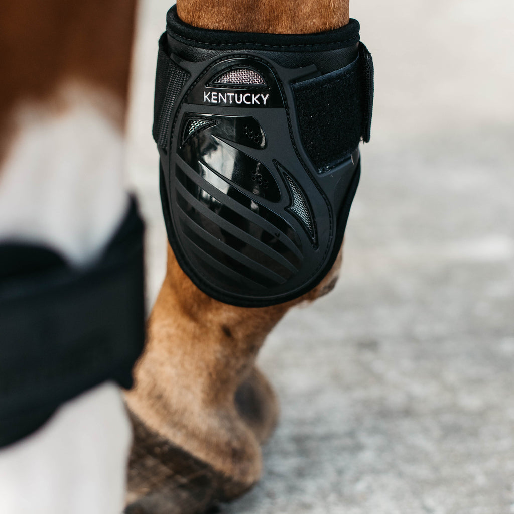 Kentucky Kogelbeschermers - Jonge Paarden