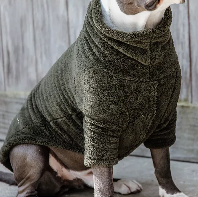 Kentucky Hundepullover - Teddy Fleece