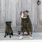 Kentucky Hundepullover - Teddy Fleece