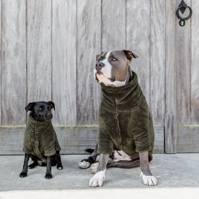 Kentucky Honden Sweater - Teddy Fleece