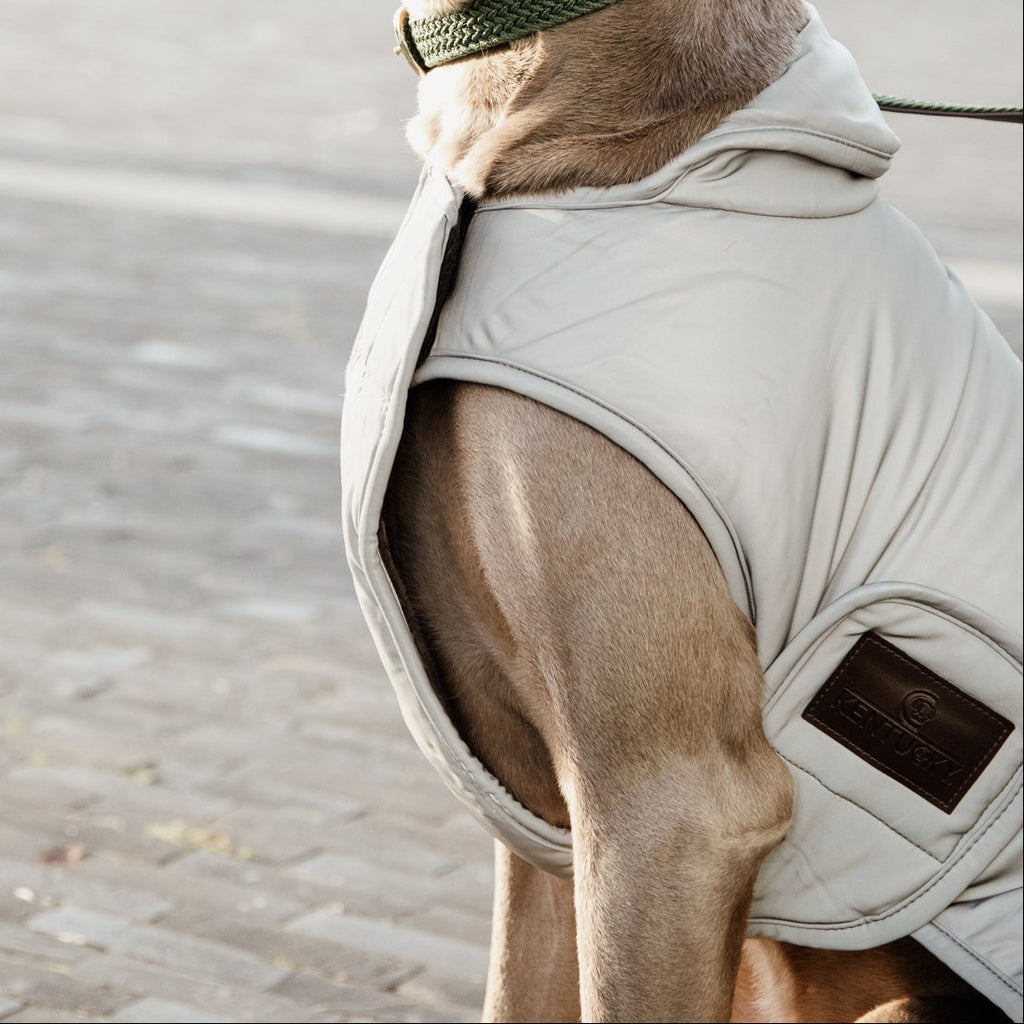 Kentucky Hundemantel - Reflektierend