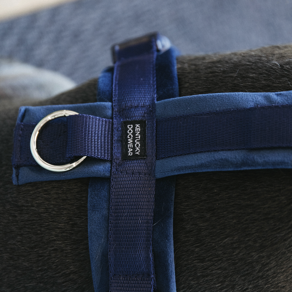 Kentucky Hundegeschirr Active Velvet
