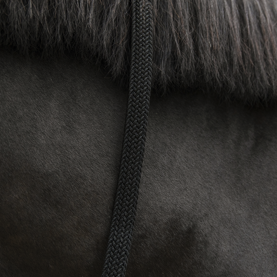 Kentucky Pferdeführstrick - Geflochtenes Nylon - 2M