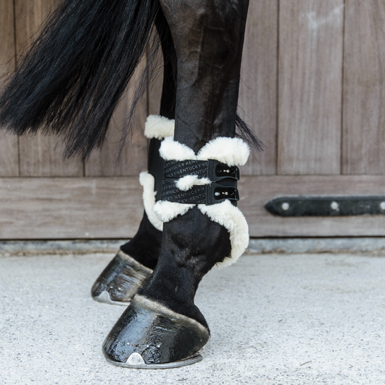 Kentucky Bottes Fetlock Elastic - Vegan Mouton