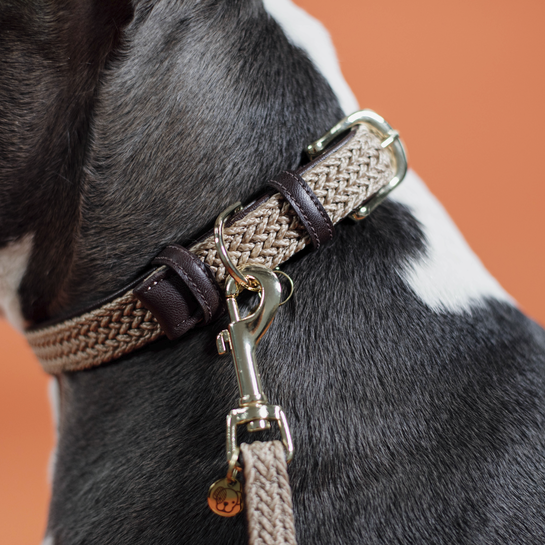 Kentucky Hondenhalsband - Gevlochten Nylon