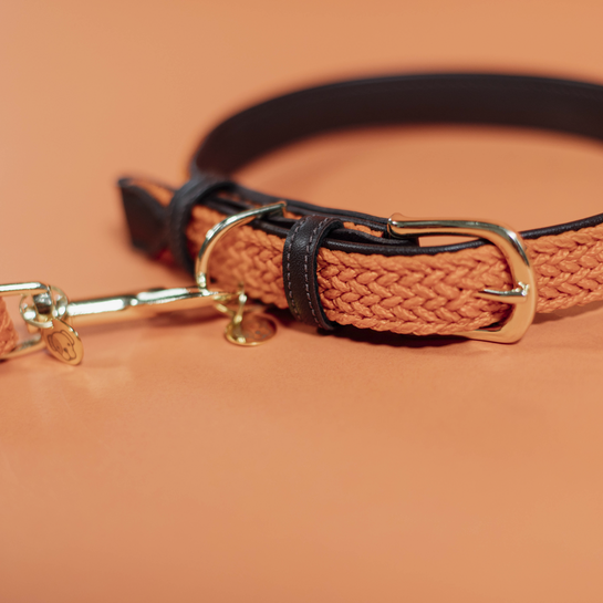 Kentucky Hondenhalsband - Gevlochten Nylon