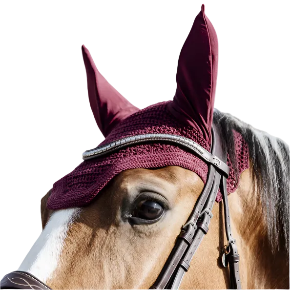 Kentucky Fliegenhaube Wellington