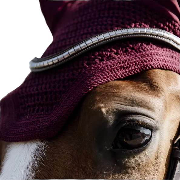 Kentucky Fliegenhaube Wellington