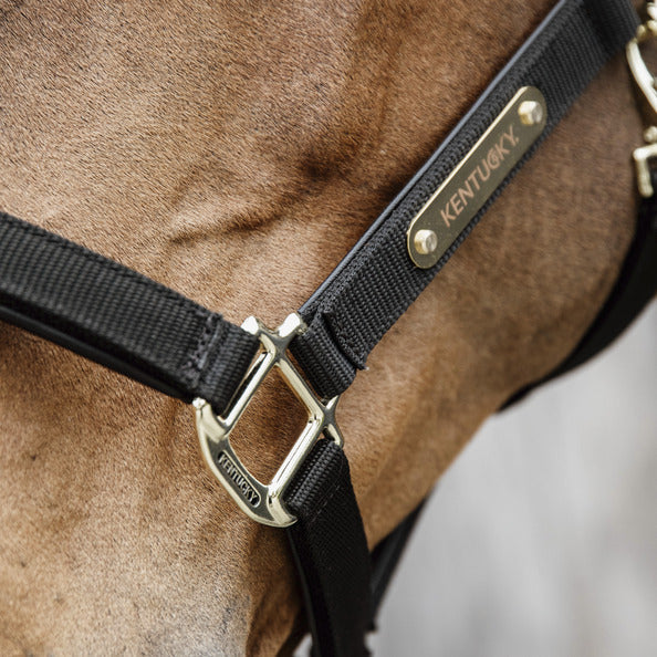 Kentucky Anatomisches Halfter - Nylon