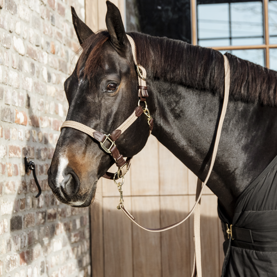 Kentucky Geflochtenes Nylonhalfter