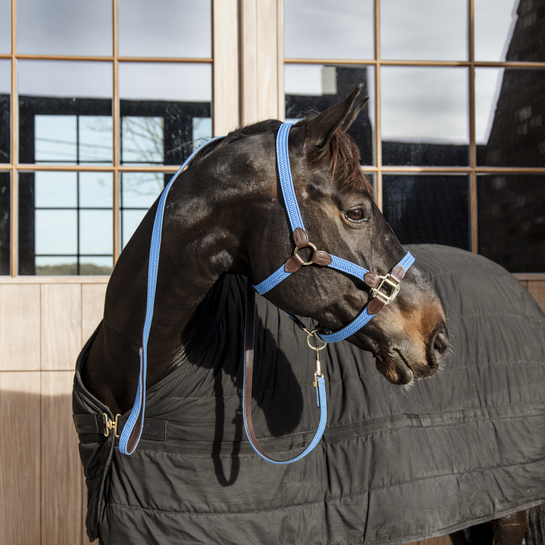 Kentucky Presentatielijn - Gevlochten Nylon - 2M