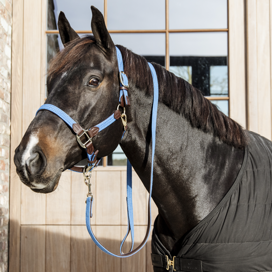 Kentucky Geflochtenes Nylonhalfter