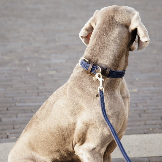 Kentucky Dog Leash - Plaited Nylon - 120 Cm