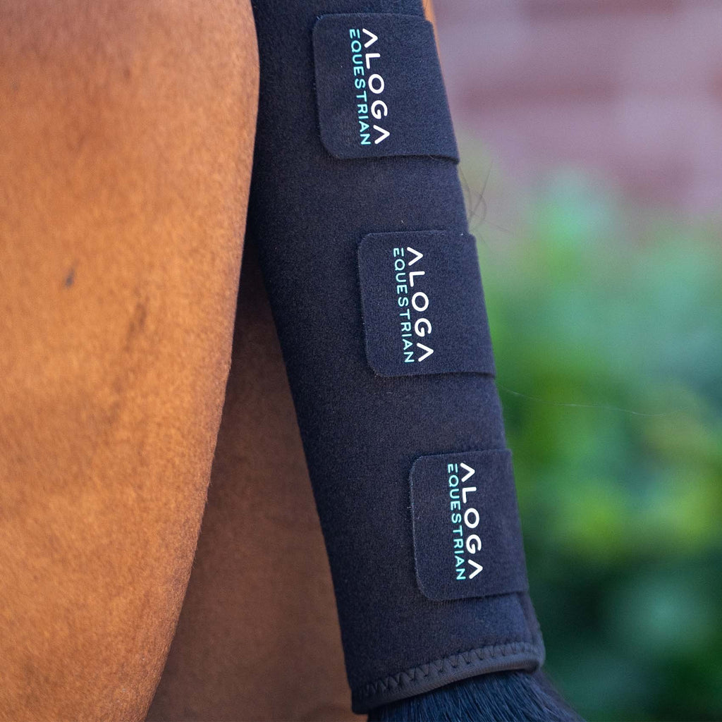 Aloga Pro Tail Guard
