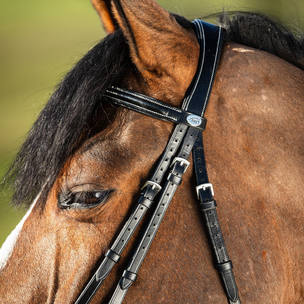 HFI German Bridle