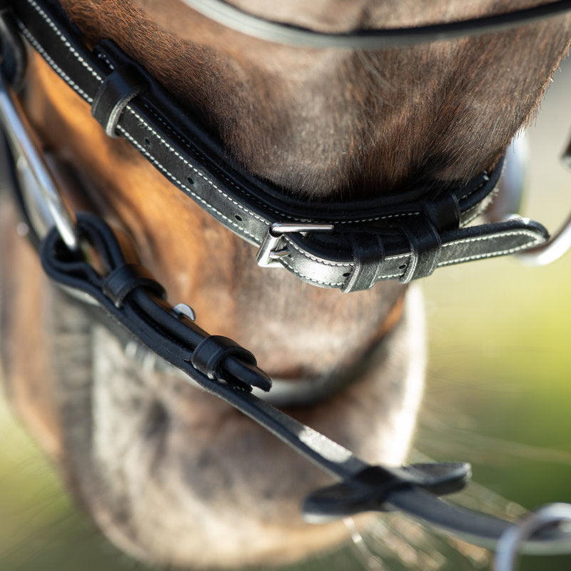 HFI Technical Bridle