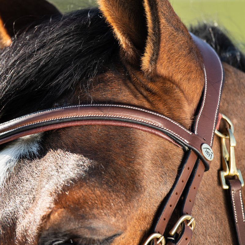 HFI Bridle Techno