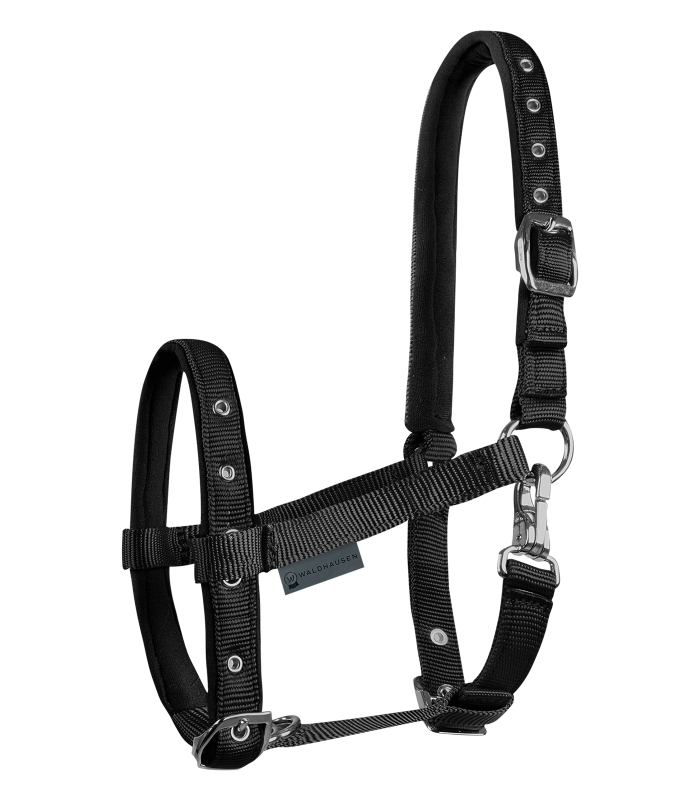 Foal Halter Comfort