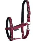 Foal Halter Comfort