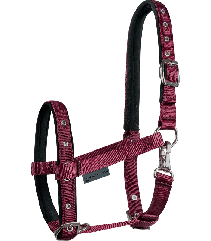 Foal Halter Comfort