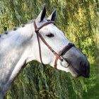 Qhp Anti-Fly Nose Protection