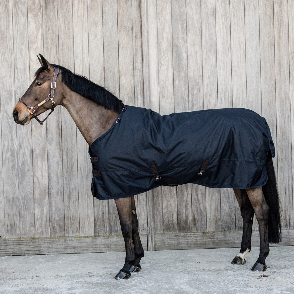 Kentucky Rug All Weather Classic 0 Gram