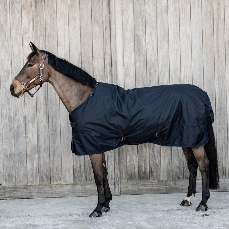 Kentucky Rug All Weather Classic 0 Gram