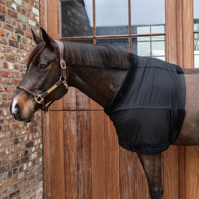 Kentucky Chest Protection