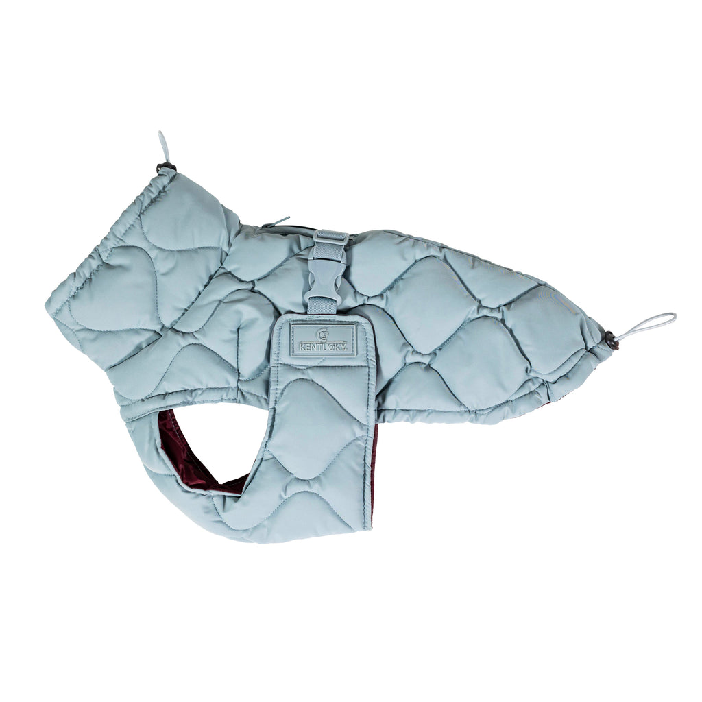 Kentucky Hundemantel Winter Pina
