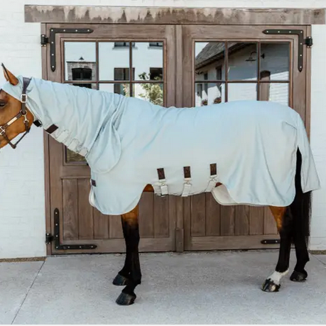Kentucky Eczema Rug