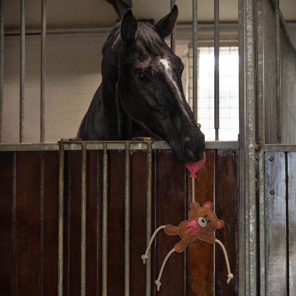 QHP Jouet pour Chevaux Saint-Valentin