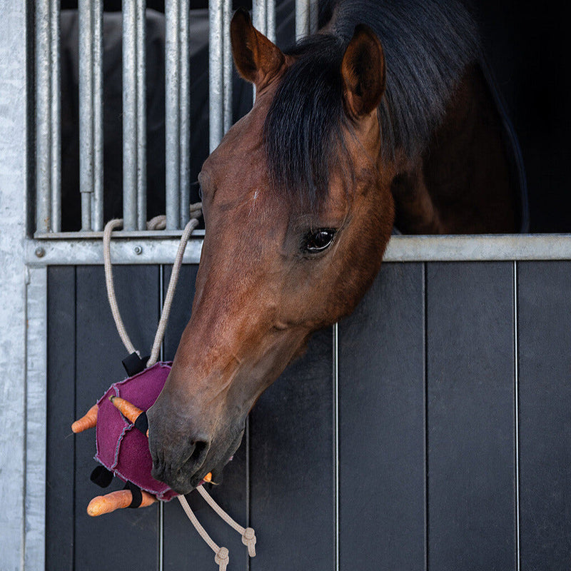 QHP Horse Toy Ball