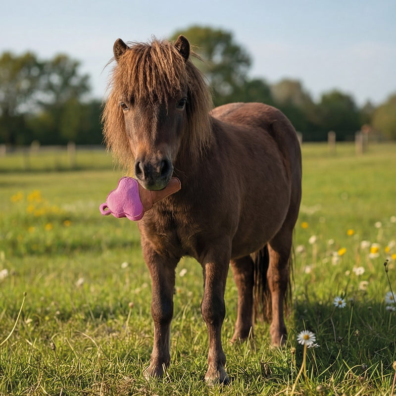 QHP Horse Toy Snackcounter