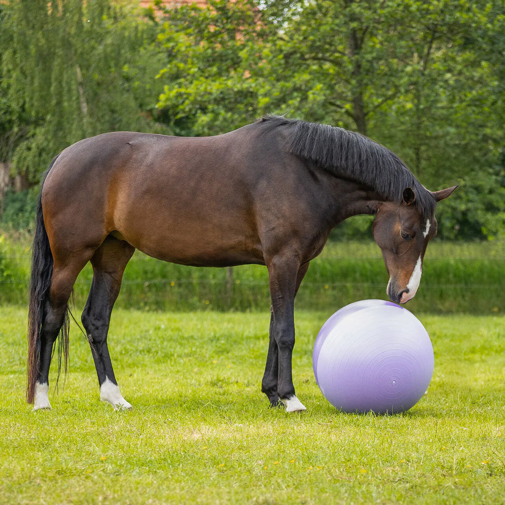 QHP Horse Football Two-tone