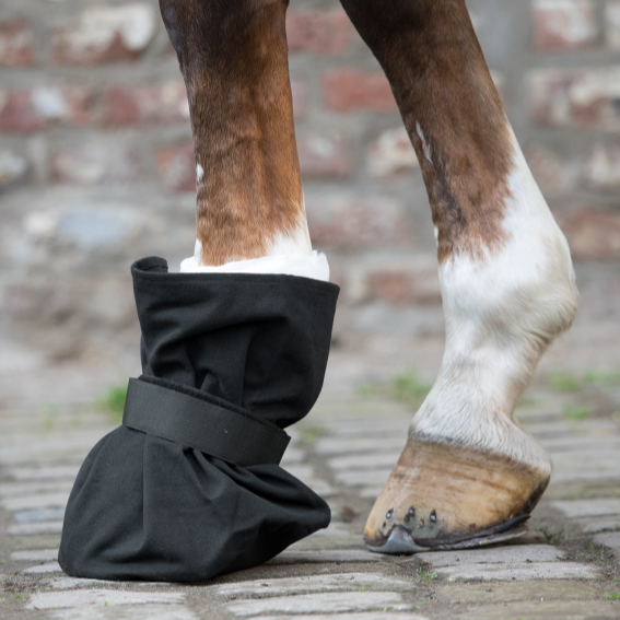 Schutz für Hufverbände