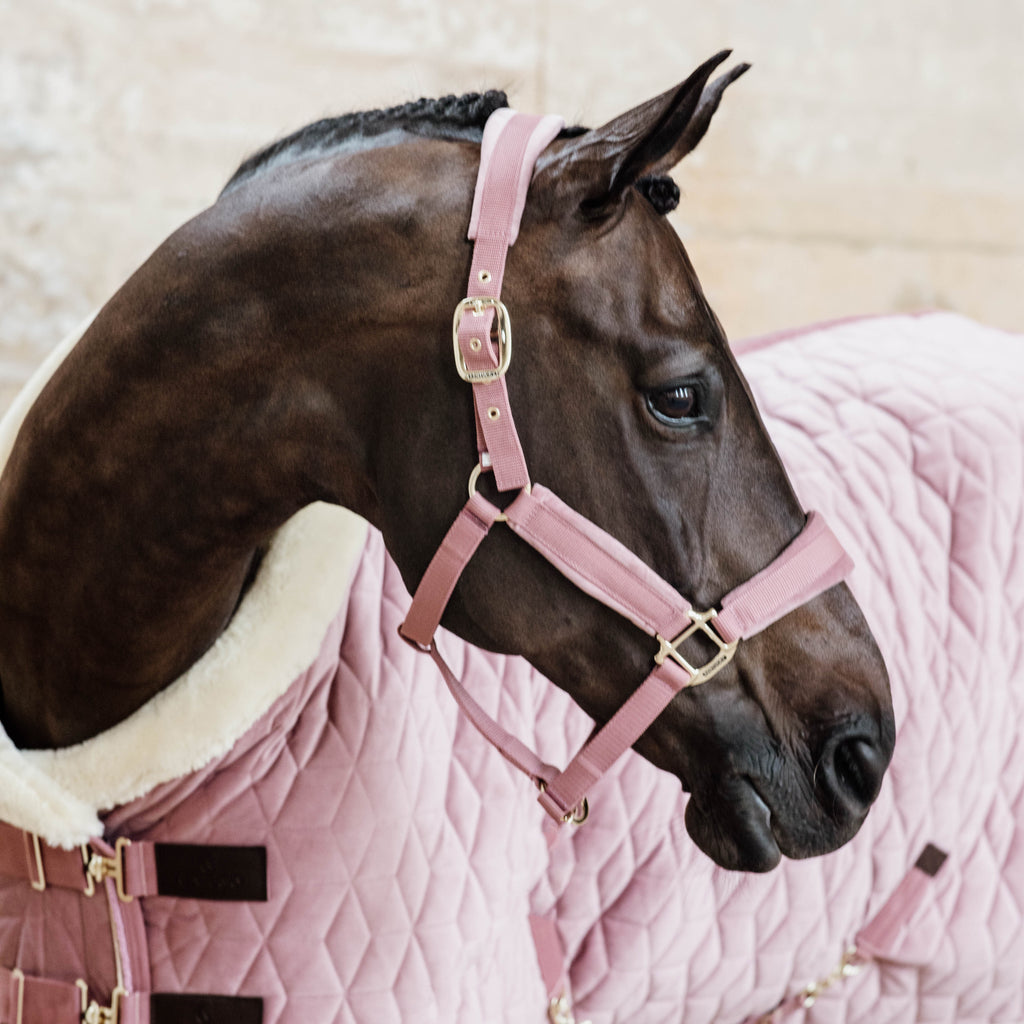 Kentucky Halfter Samt