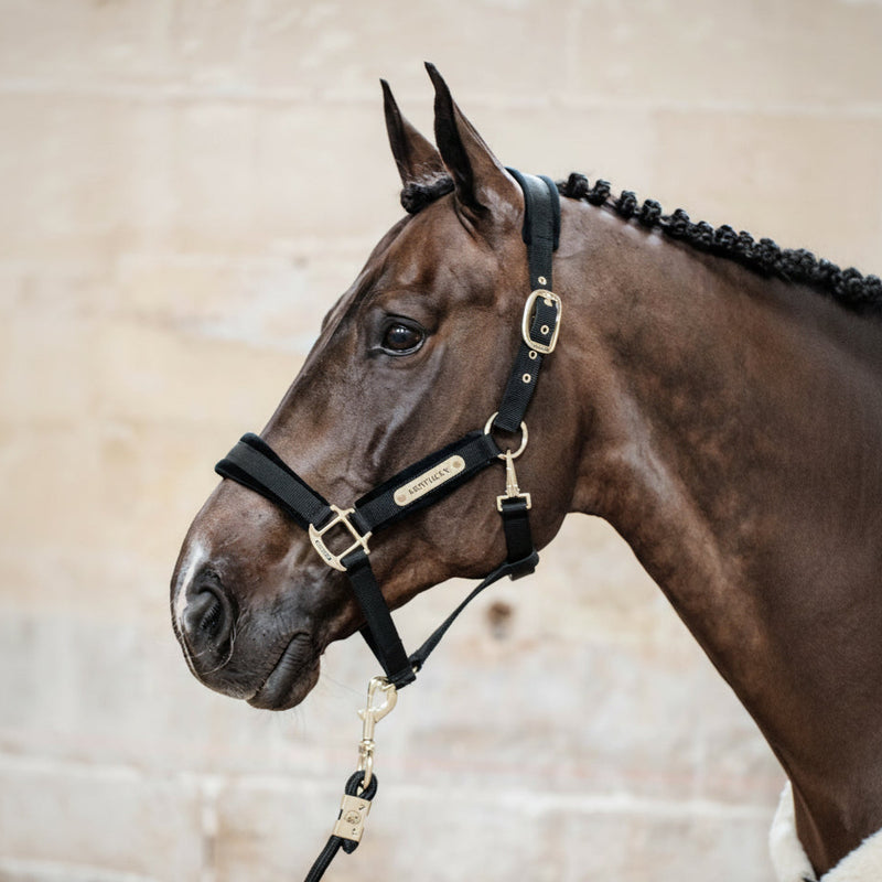Kentucky Halster - Velvet