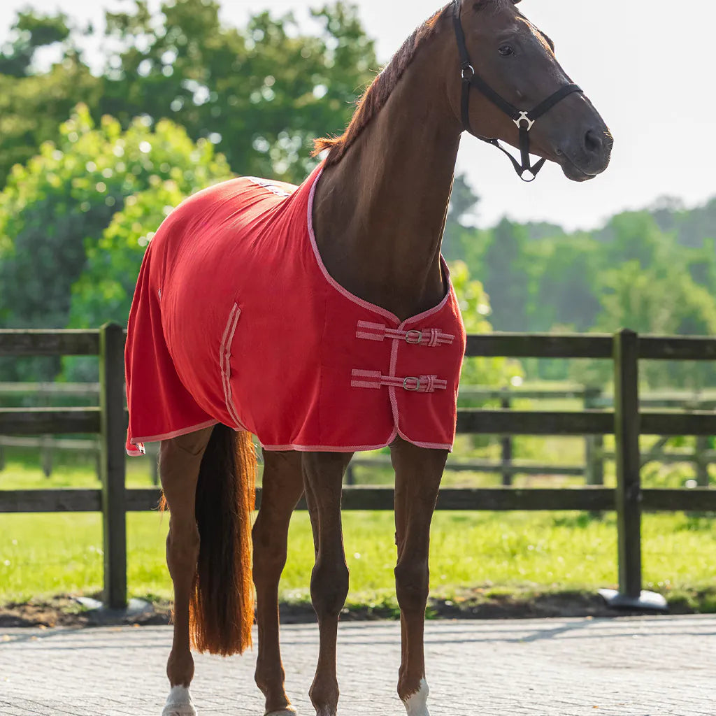 Couleur Tapis Qhp - Polaire - Avec Sursangles Croisées