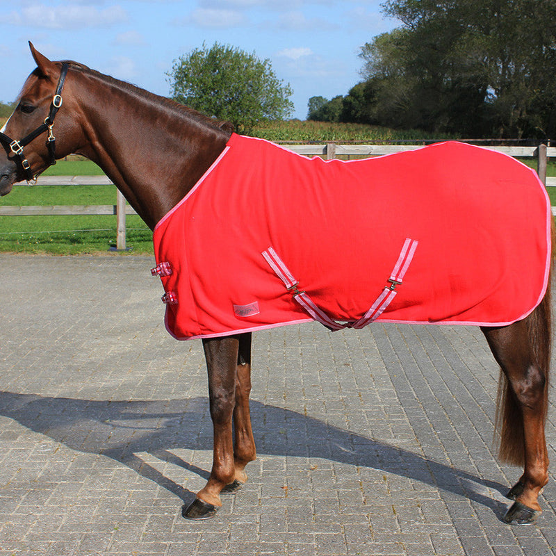 Qhp Rug Color - Fleece - With Cross Surcingles