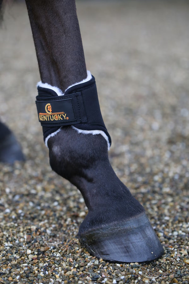 Kentucky Kurzer Auslaufstiefel Solimbra/Lammfell