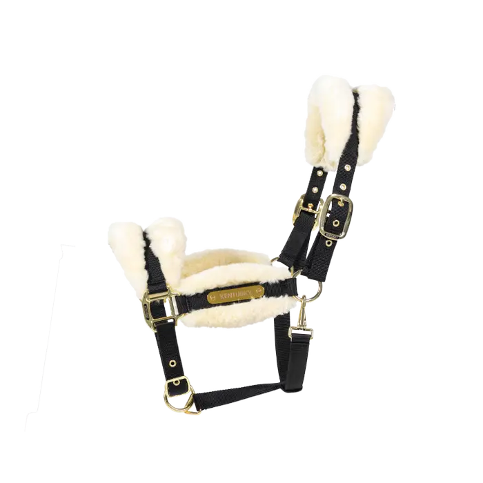 Kentucky Halfter - Nylon & Wolle Weich