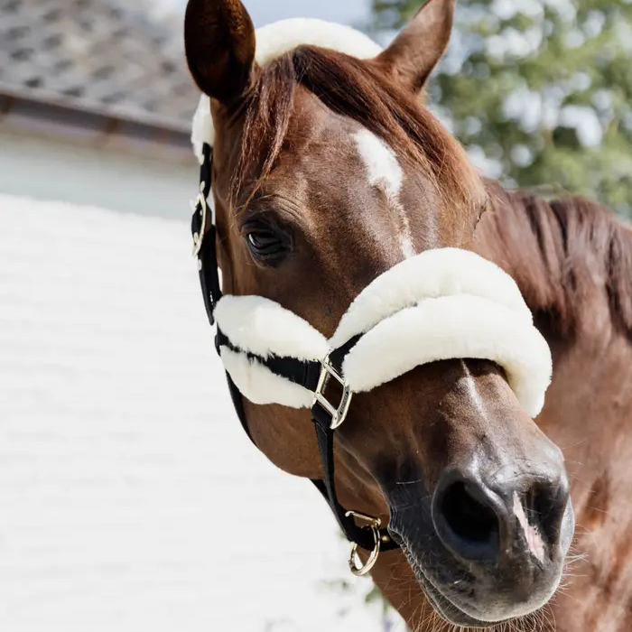 Kentucky Halfter - Nylon & Wolle Weich