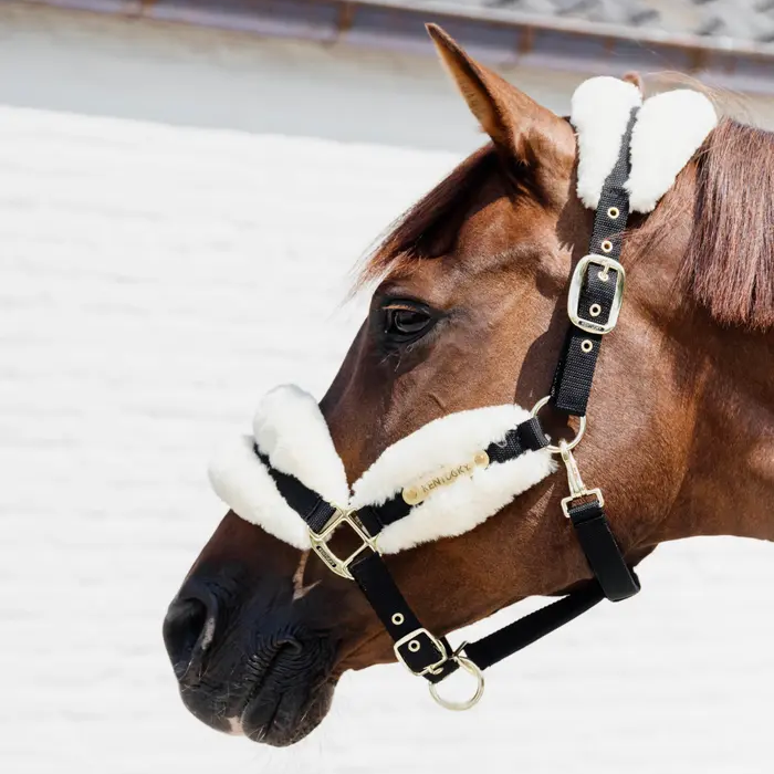 Kentucky Halfter - Nylon & Wolle Weich