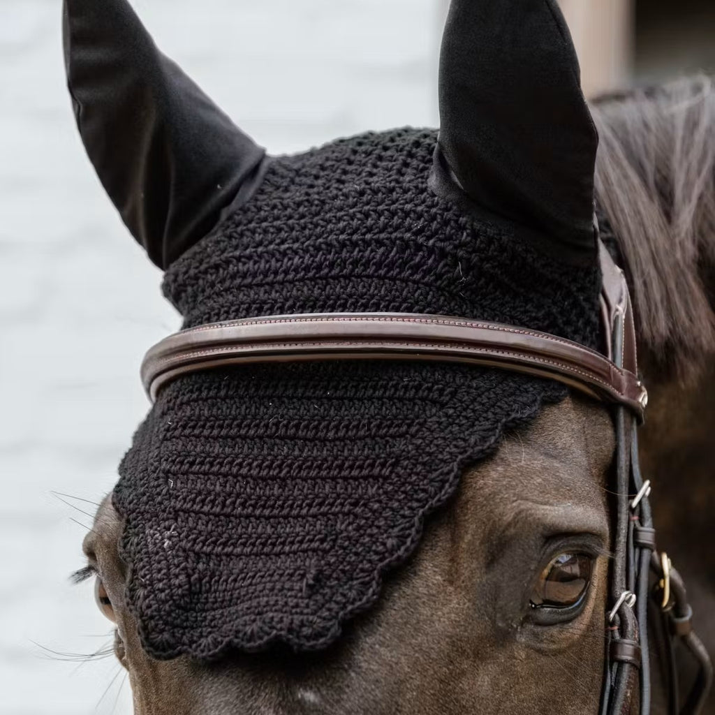 Kentucky Fliegenhaube Wellington Wave